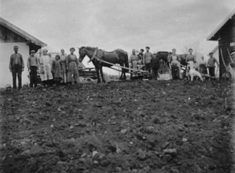 Anno Domkirkeodden, VÅRONN, GRUPPE 18 ARBEIDERE, BARN VOKSNE, HEST MED PLOG, INGEBERG STORE