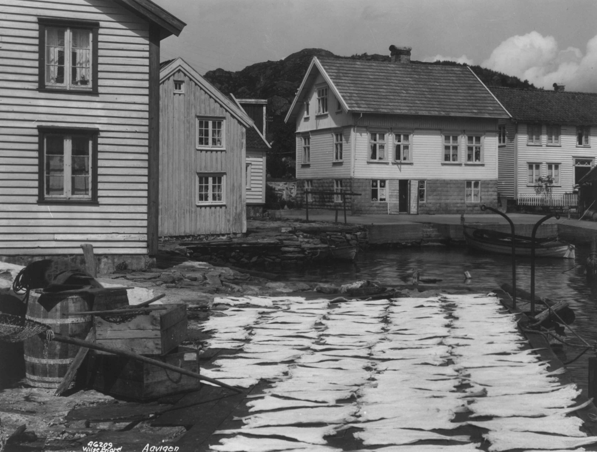 Anders Beer Wilse, Wilse original, bebyggelse Åvik
