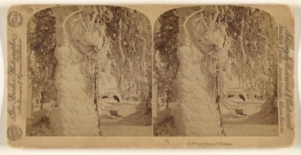George Barker, A Winter Scene of Beauty.