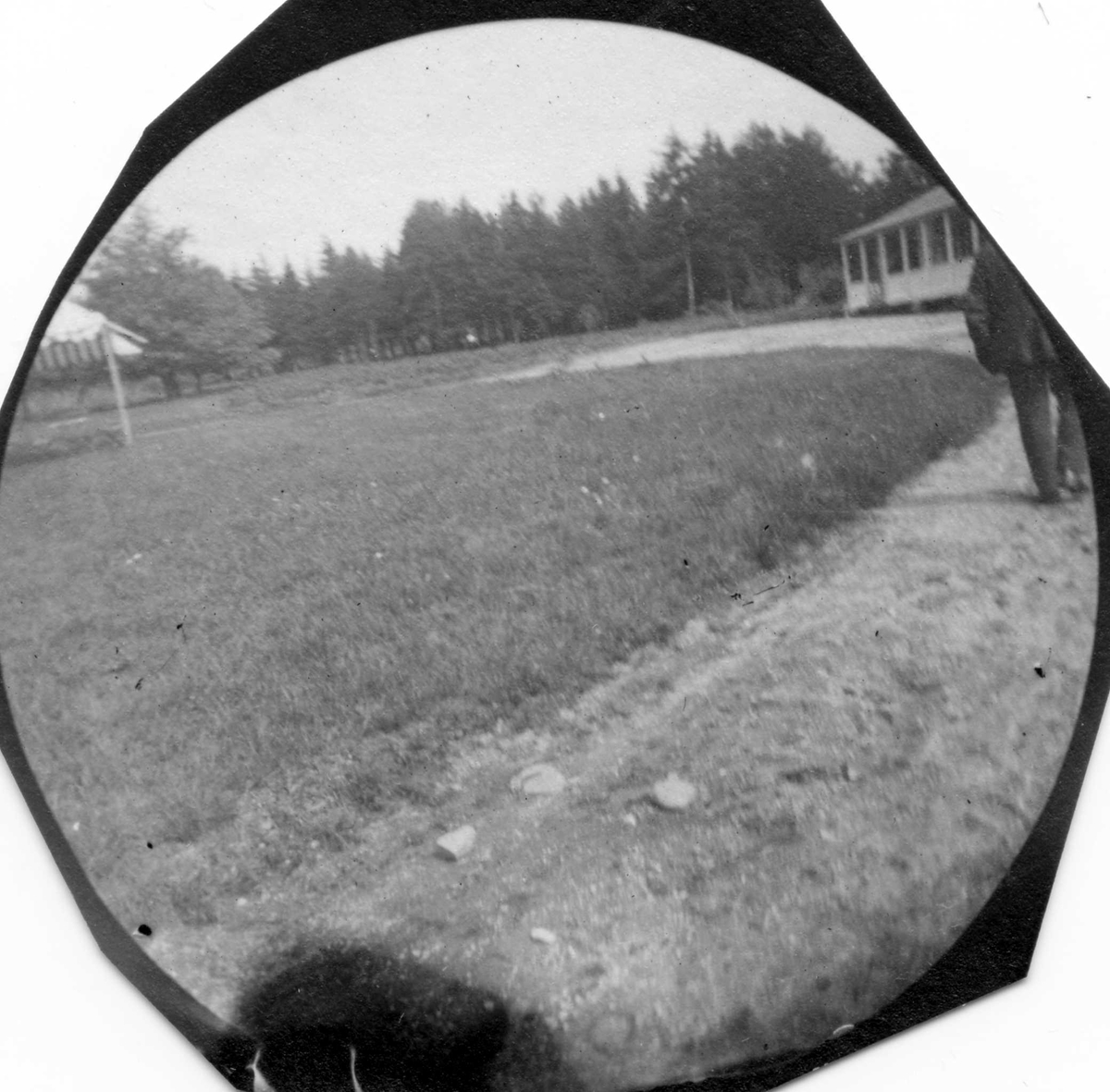 Fredrik Carl Mülertz Størmer, Fra botanisk ekskursjon med professor Blytt på Tjøme, Vestfold. Hvit veranda; vei, åker og eng. Skog i bakgrunnen.