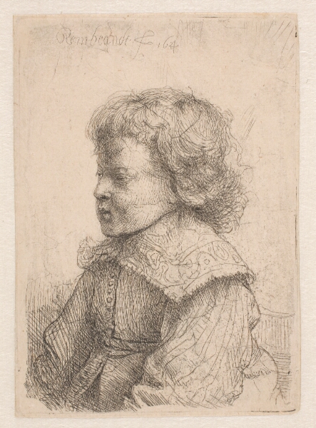 Rembrandt van Rijn, Profilportræt af en dreng