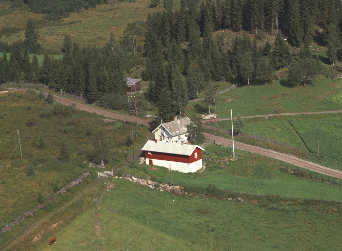 Widerøes Flyveselskap A/S, Flyfoto, Nygård, Veldre, Ringsaker.