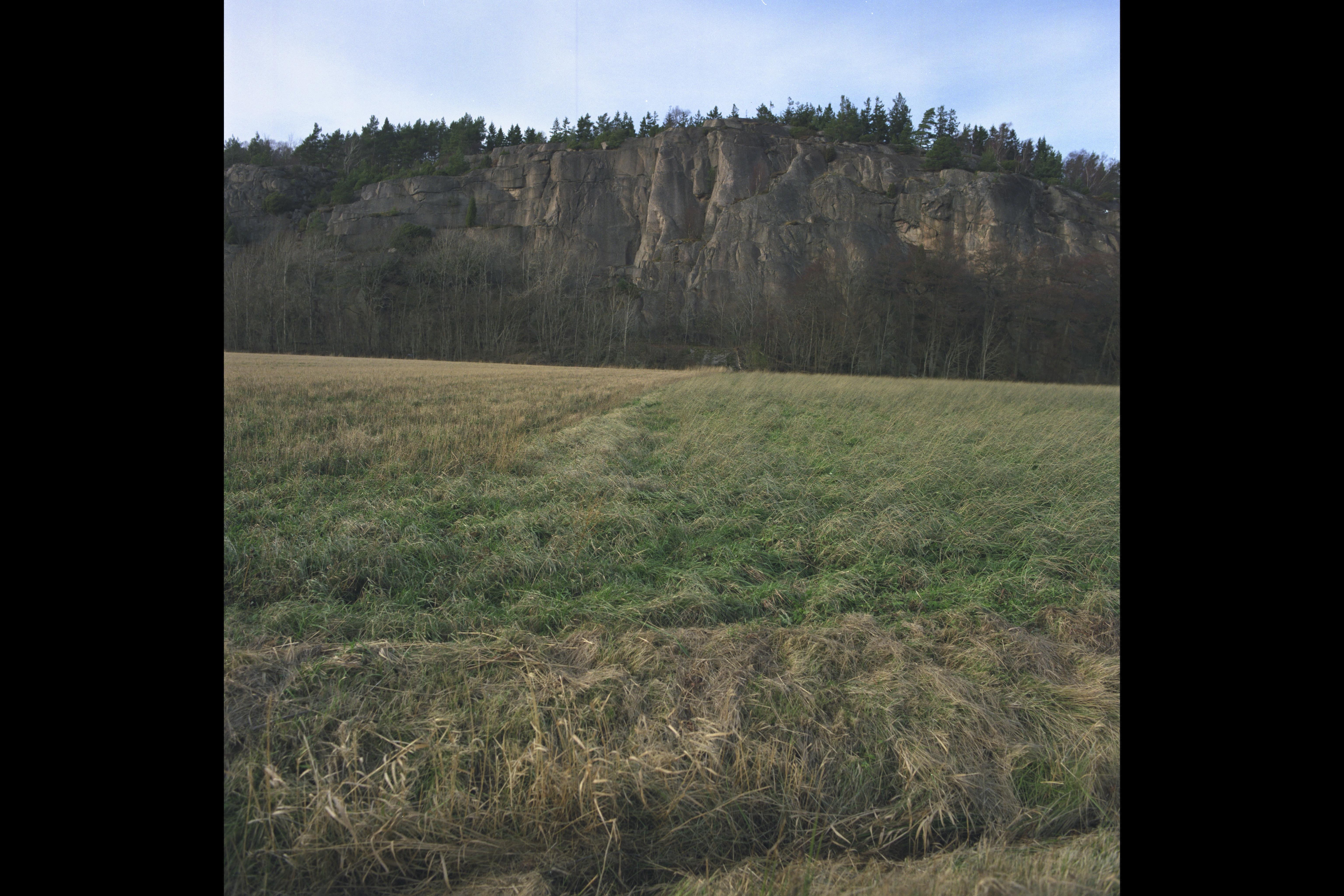 Bengt A Lundberg, Tanum