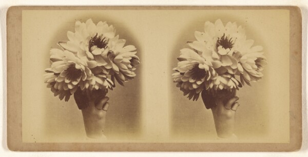 Unknown, [Bouquet of unidentified flowers]