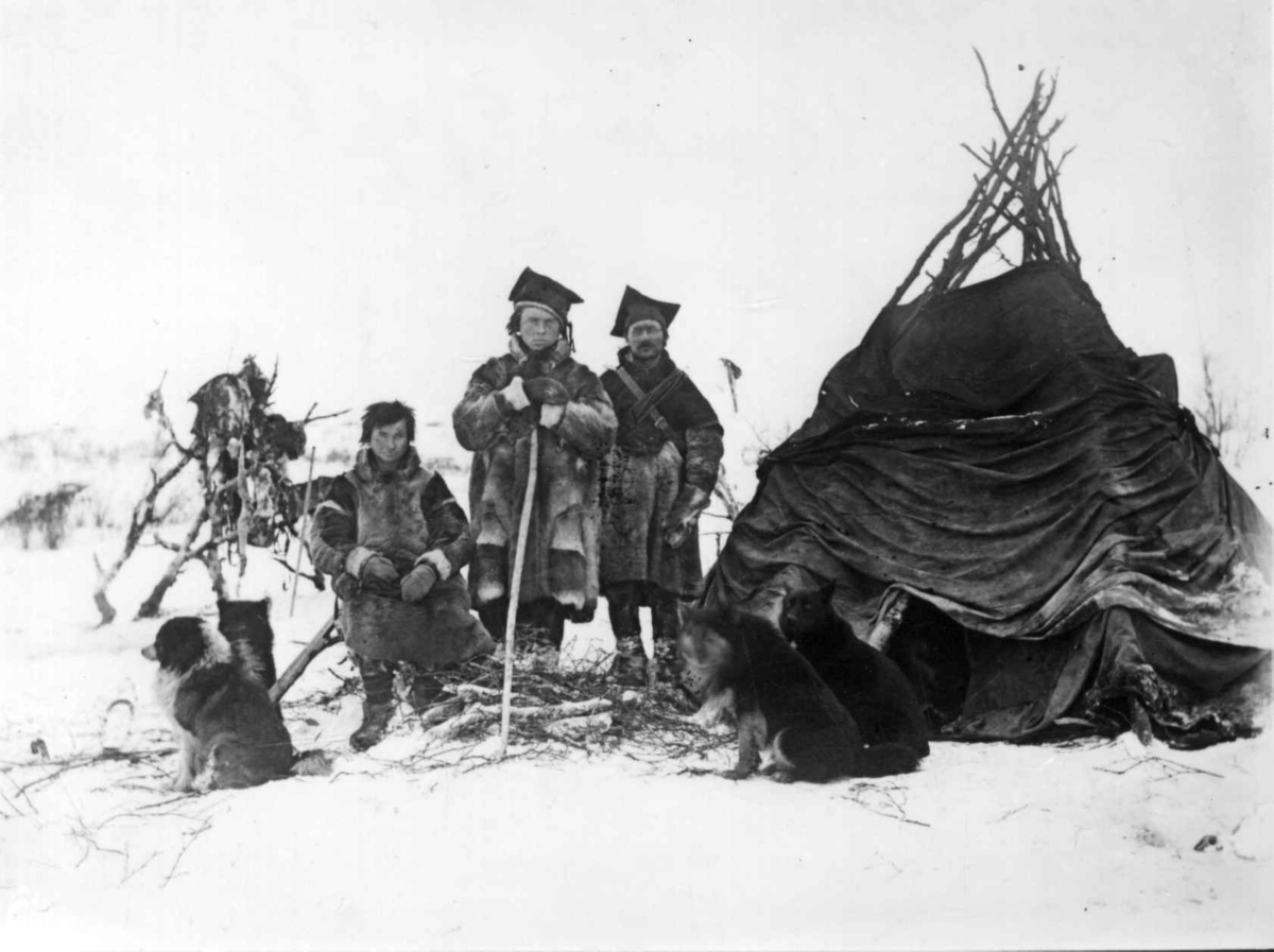 Ellisif Rannveig Wessel, Reingjetere og hunder ved teltet, Sør-Varanger, Finnmark, før 1900.