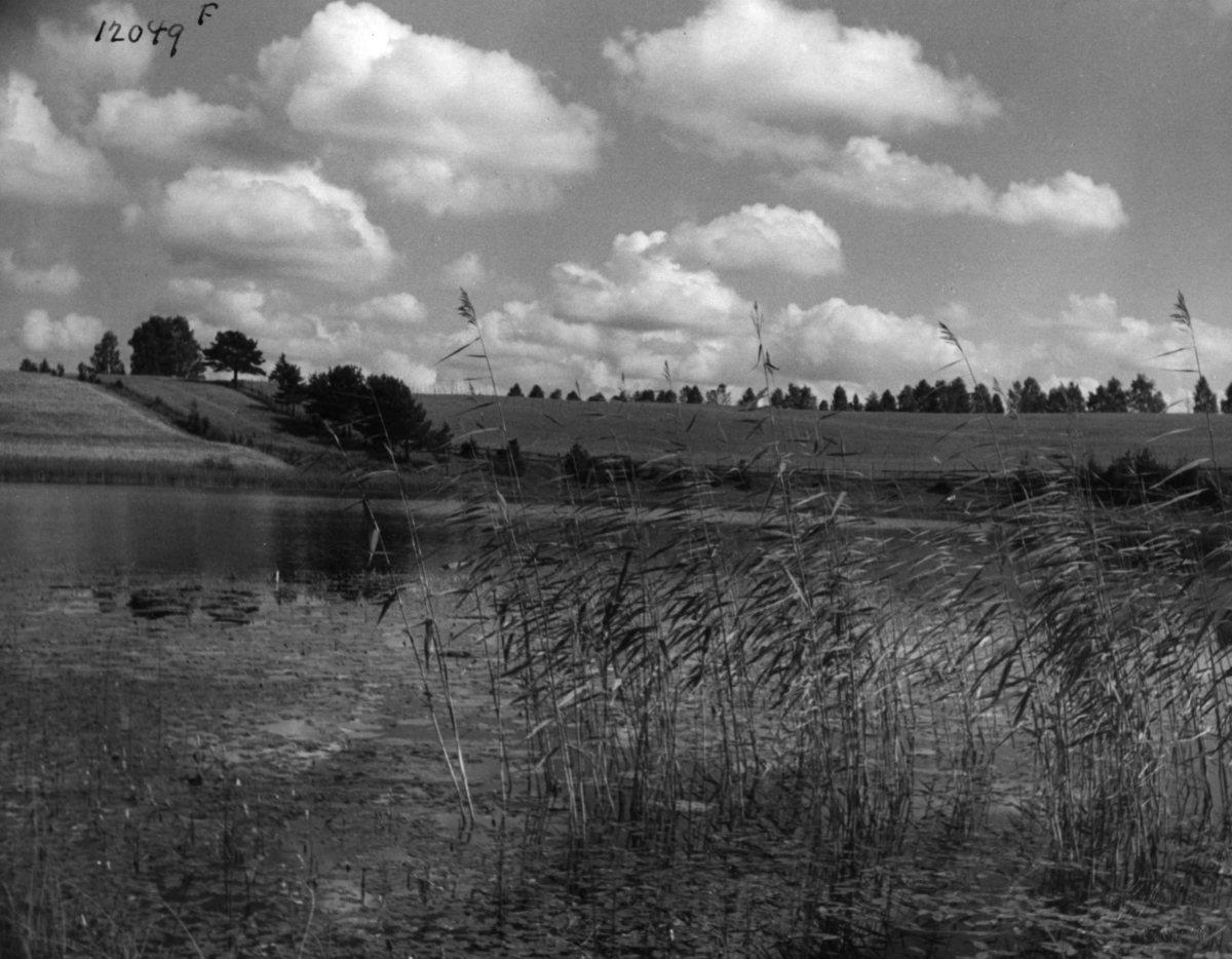 Anders Beer Wilse, V/ Raknehaugen
