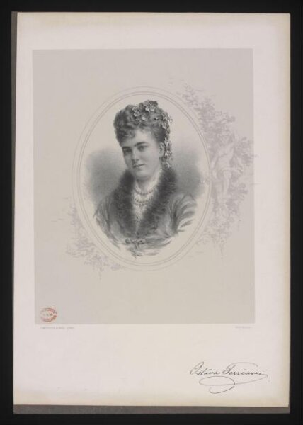 unknown, Ostava Torriani