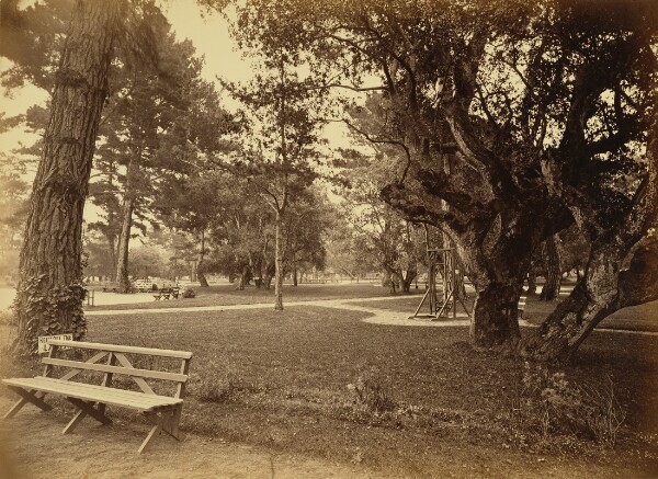 Carleton Watkins, [Monterey, California. Hotel Del Monte, Lawn View.]