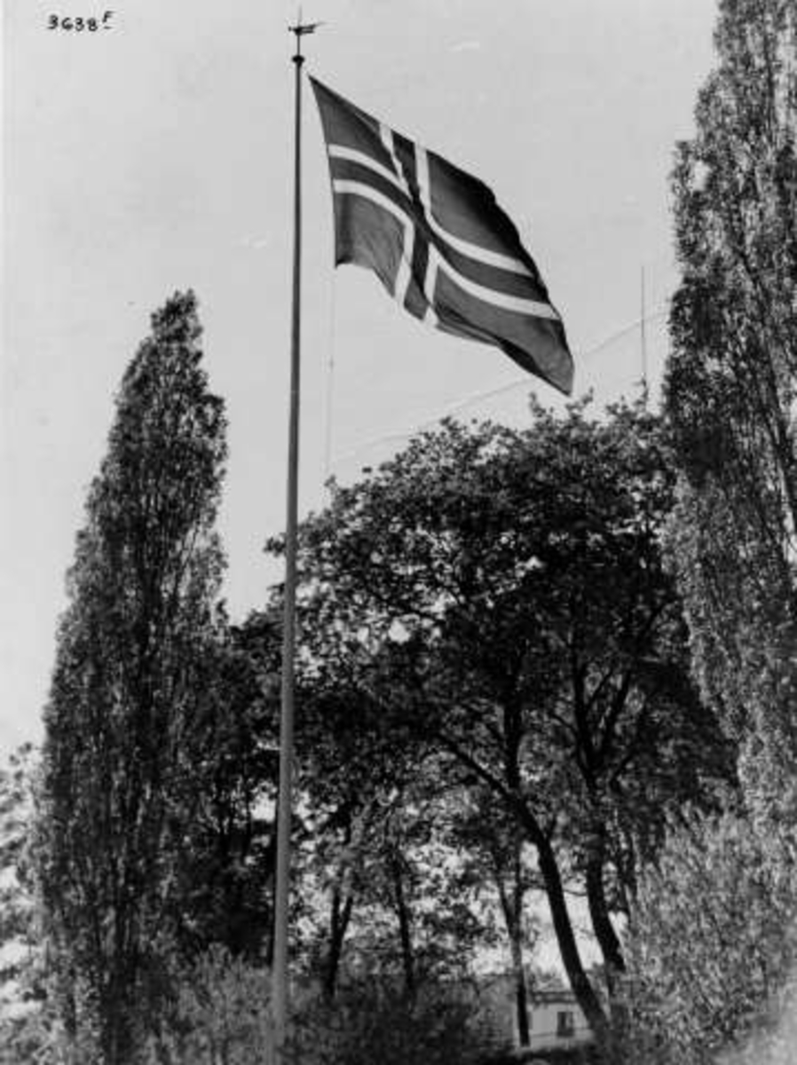 Anders Beer Wilse, Flaggstang 17. mai 1936