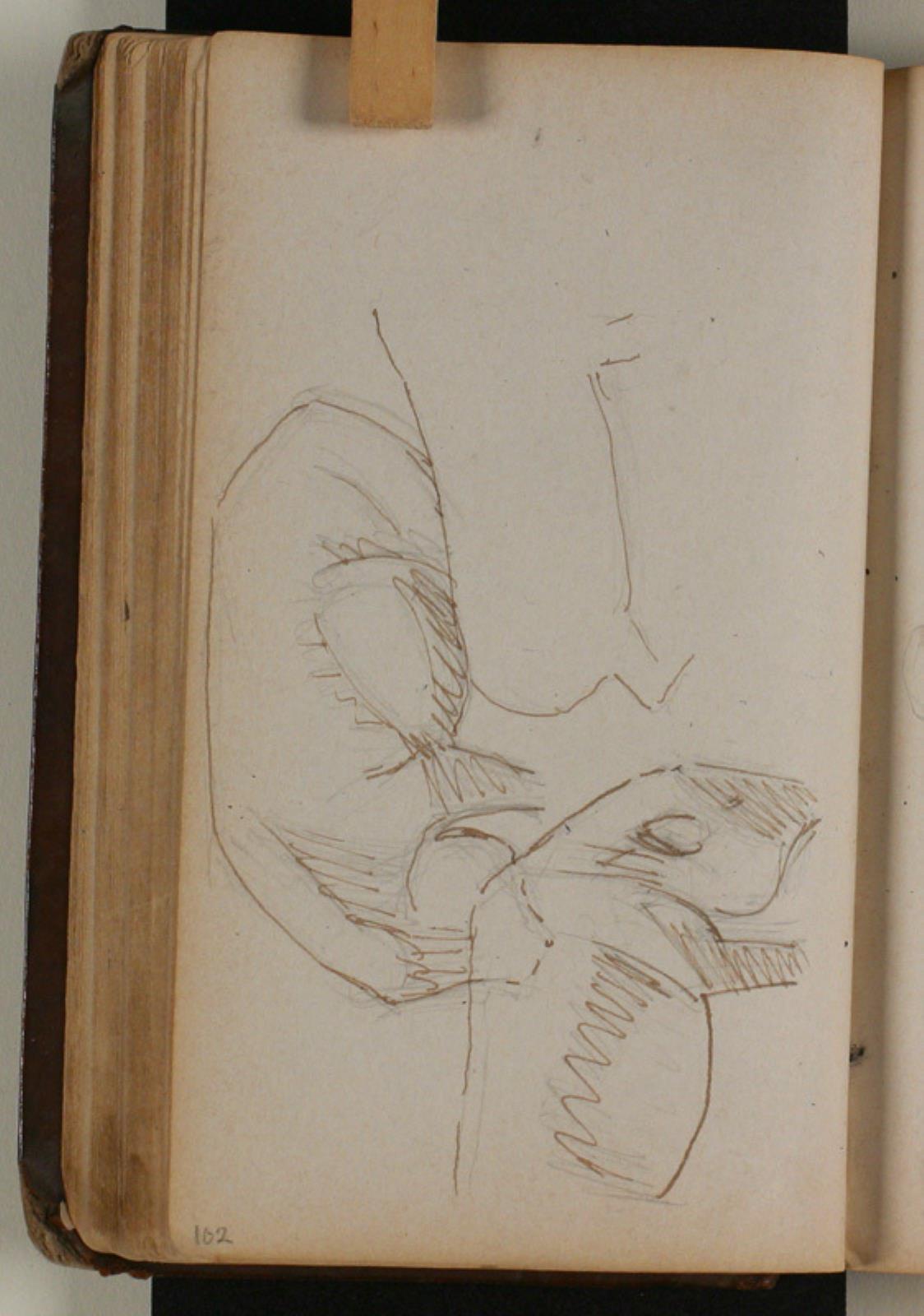 Niels Larsen Stevns, Studier af vildsvin