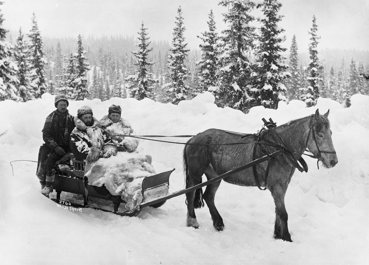 Anders Beer Wilse, Prot: Valdres - Veien over Tonsaasen Tovnslay og Partridge, 10/3 1904