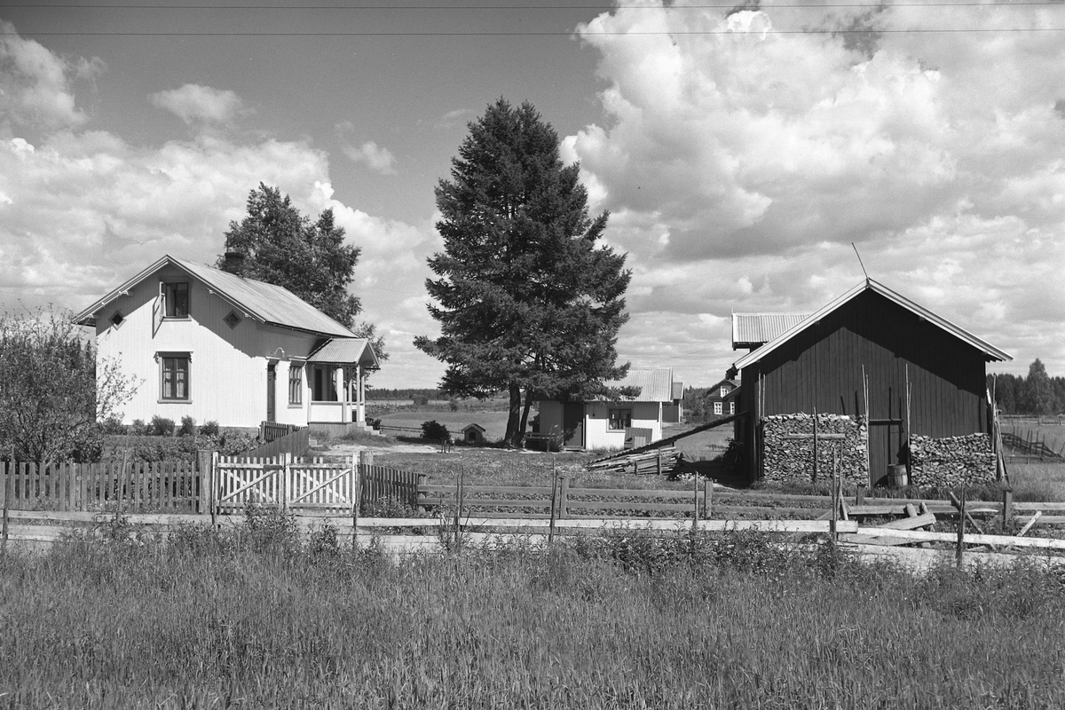 Anno Domkirkeodden, EKSTR: GARDSTUN, SOLBAKKEN, HAGEN. Se Løtenboka, bind 3. Bygdeboka fra 1955, side 32