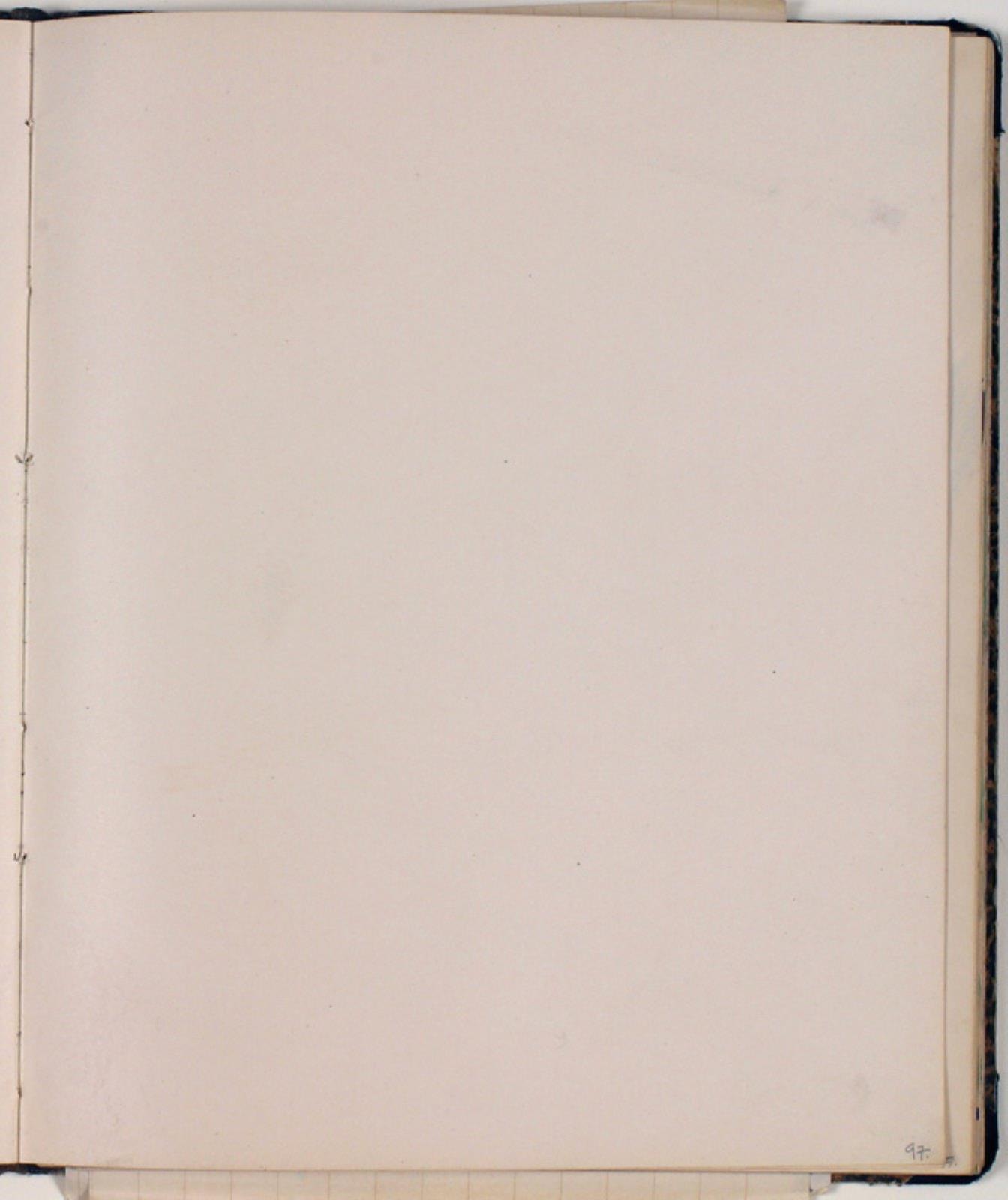 Niels Larsen Stevns, Blank