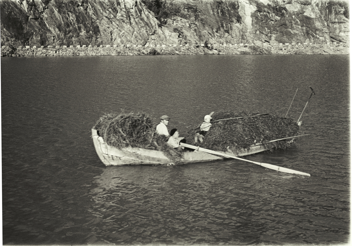 Anders Beer Wilse, Prot: Loenvann. Höitransport