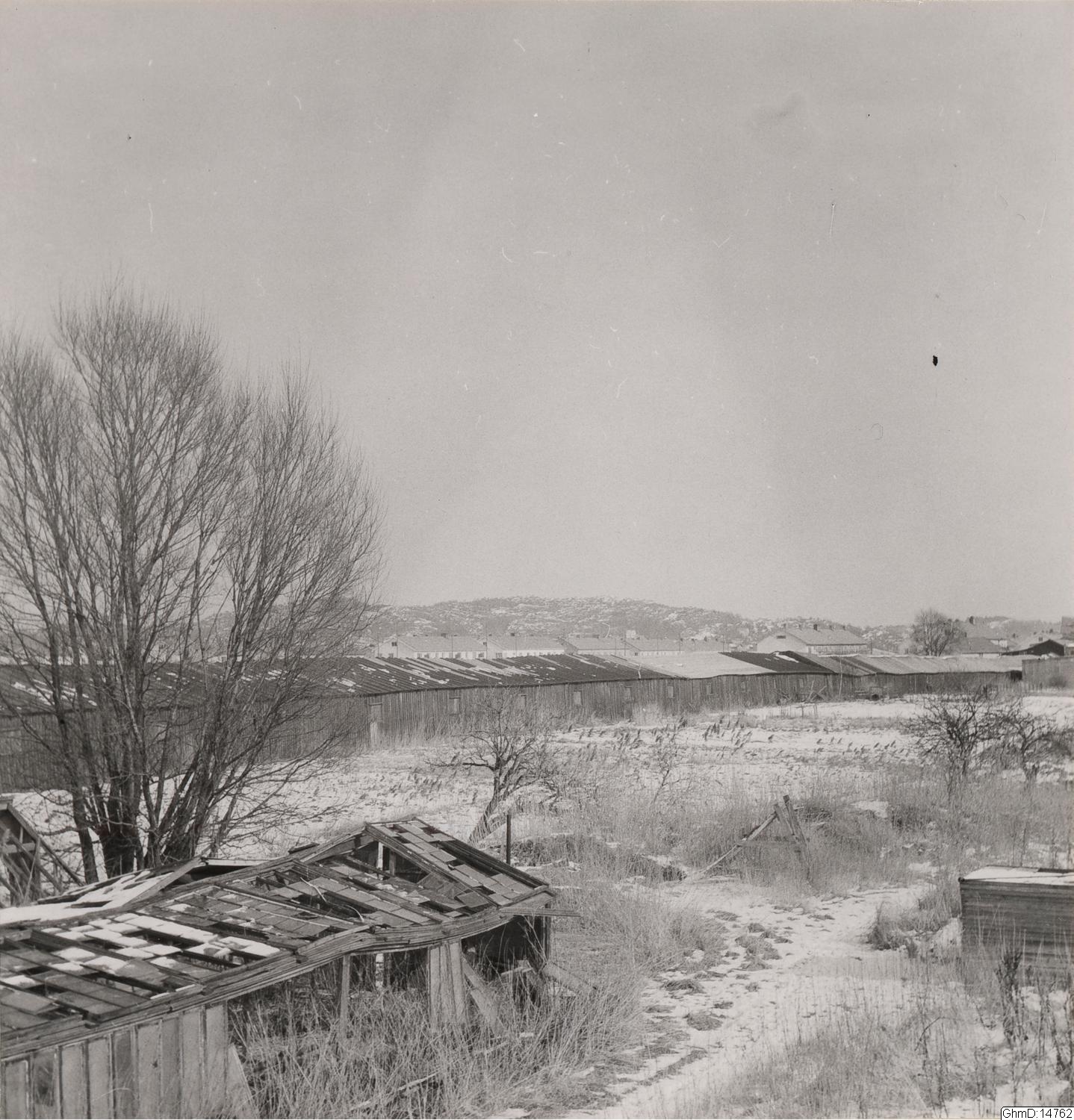 Harald Wideen, påsiktsbild, fotografi, bilder