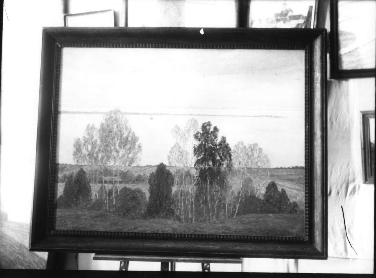 Calla Helena Sundbeck, Fotografi av målning av Bengt Hedberg. Från berget ovan Mellby/Uppgränna mot Visingsö.