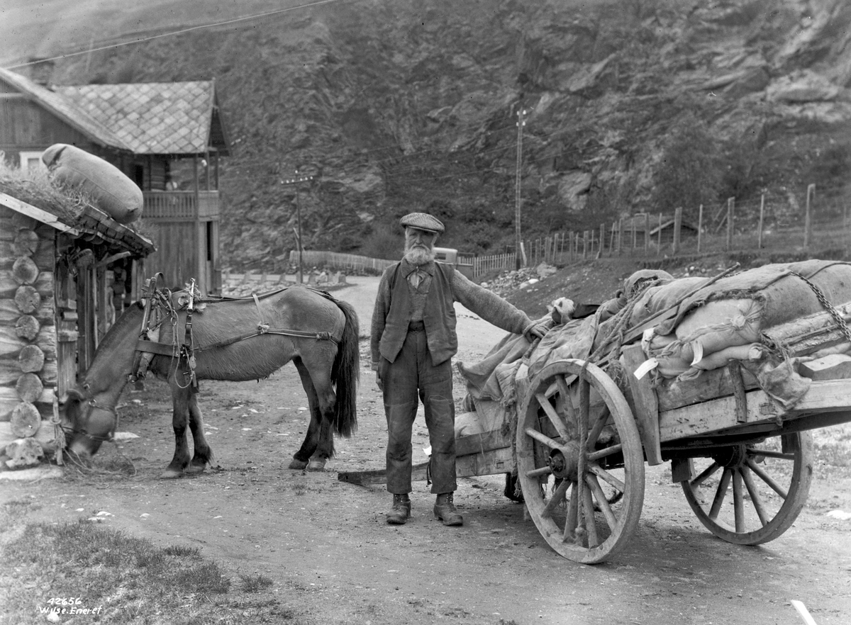 Anders Beer Wilse, Prot: Lastkjører