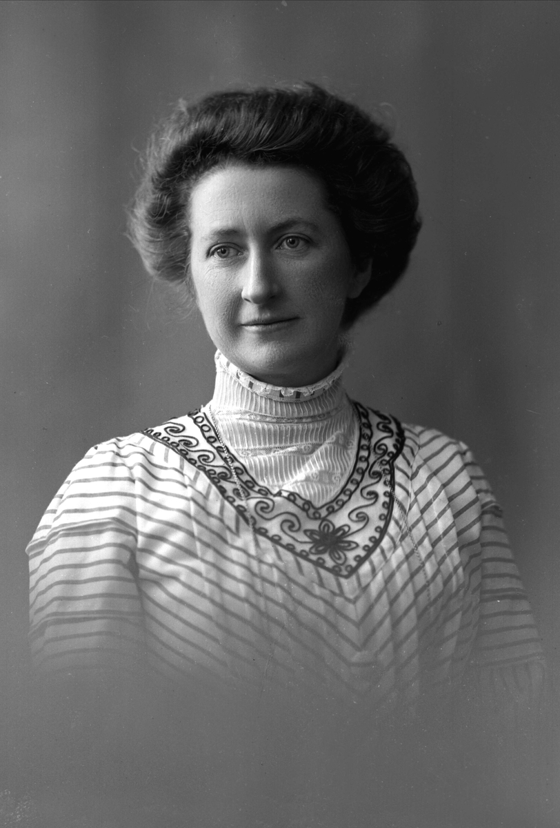 Gustav Borgen, NFB.04135