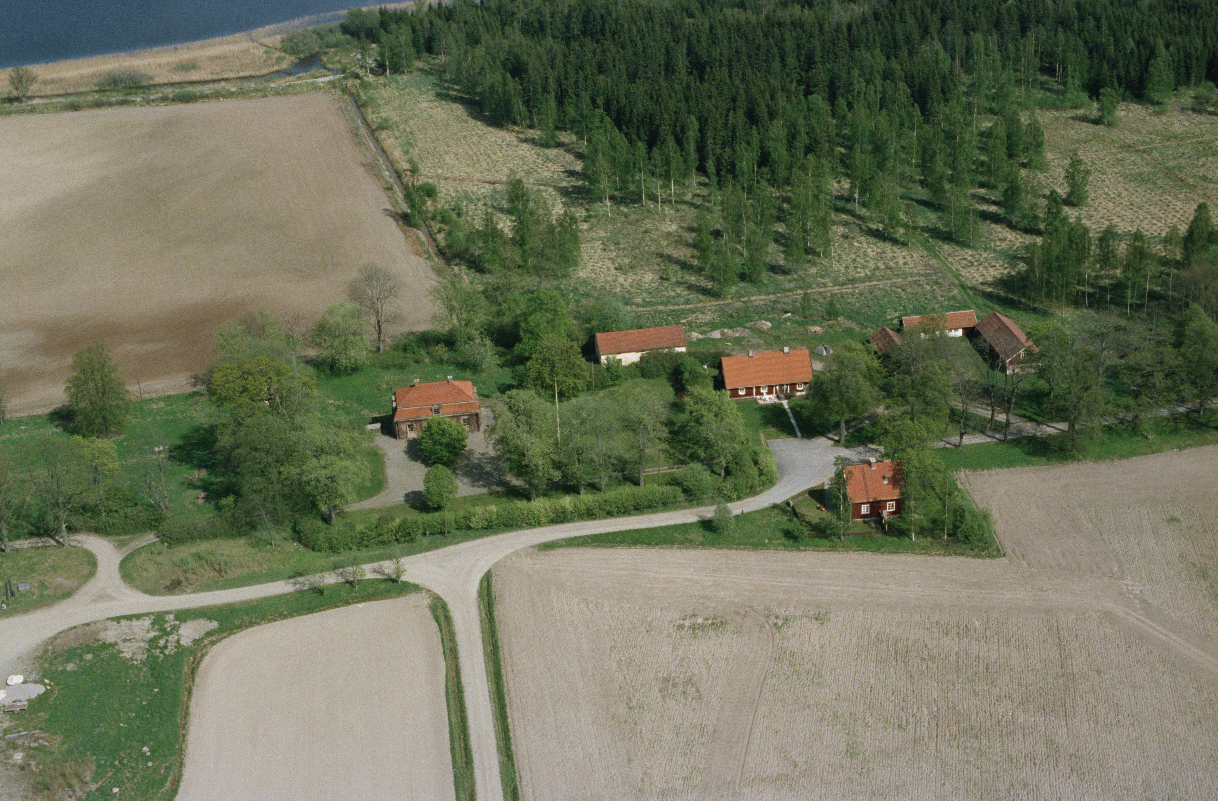 Jan Norrman, Kägleholm