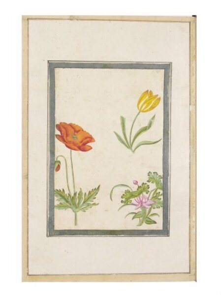 Unknown, Painting