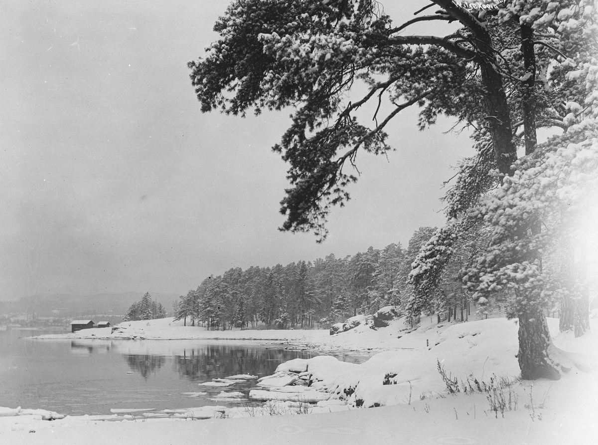 Anders Beer Wilse, Prot: Strandparti ved Kongevillaen Bygdø 26/1 1907
