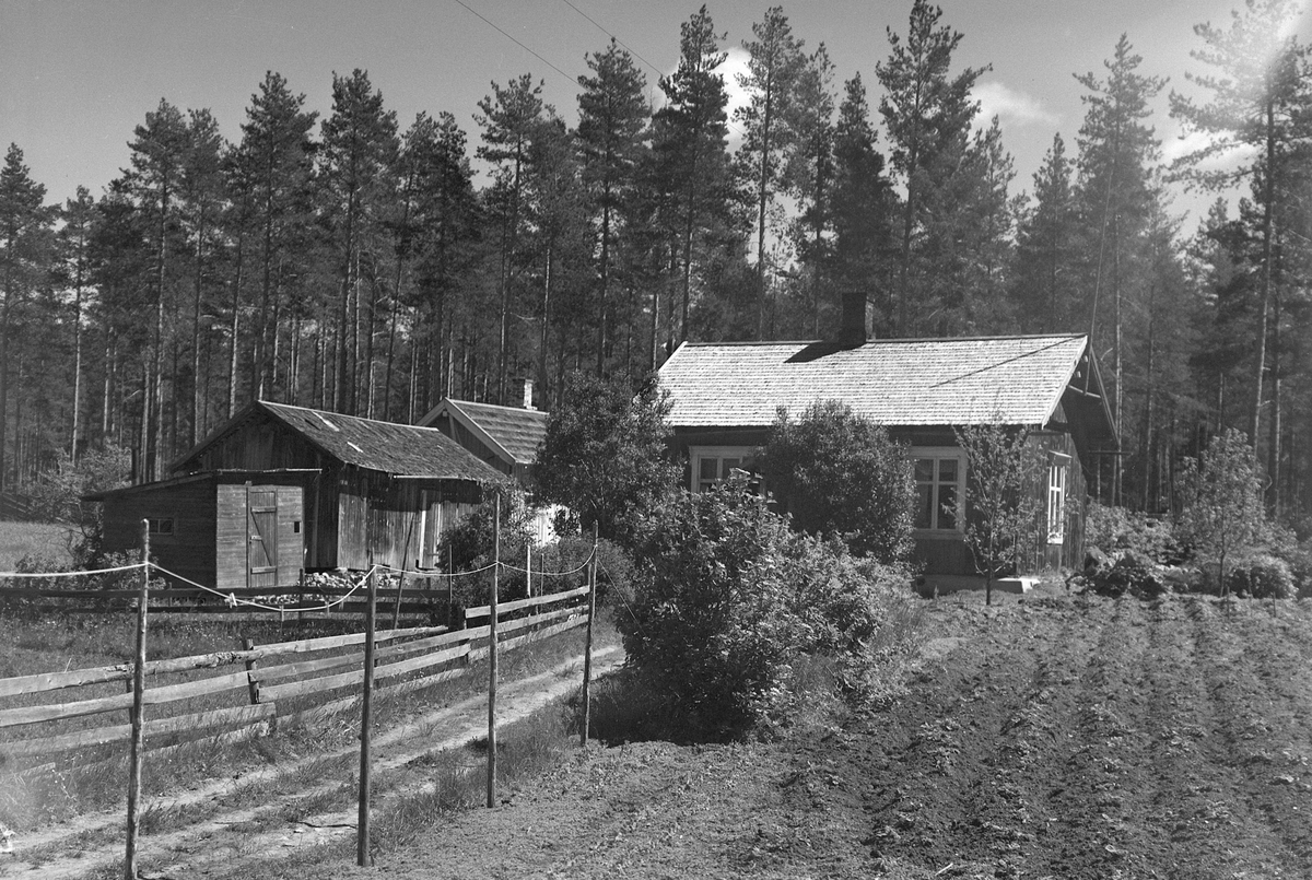 Anno Domkirkeodden, EKSTR: GARDSTUN, SOLHAUG. Se Løtenboka, bind 2. Bygdeboka fra 1953, side 617