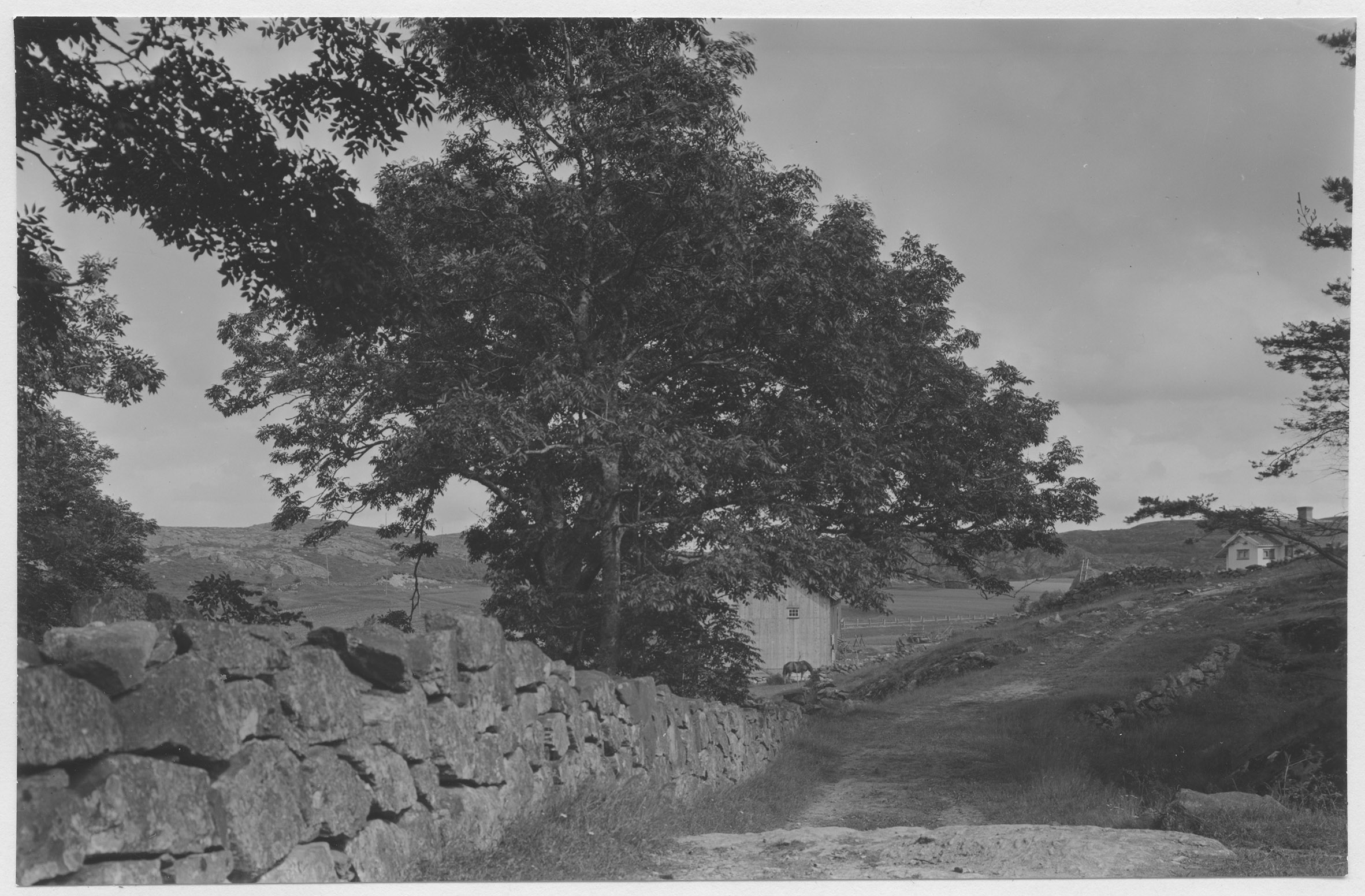 Mårten Sjöbeck, Bokenäs - halvön