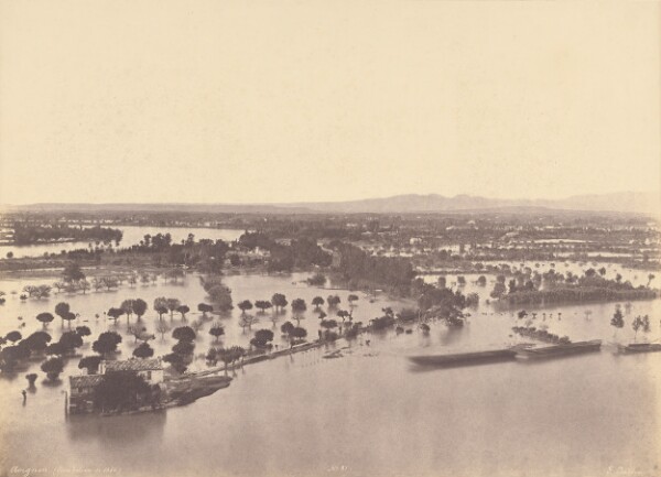Édouard Baldus, Avignon (Inondation de 1856)