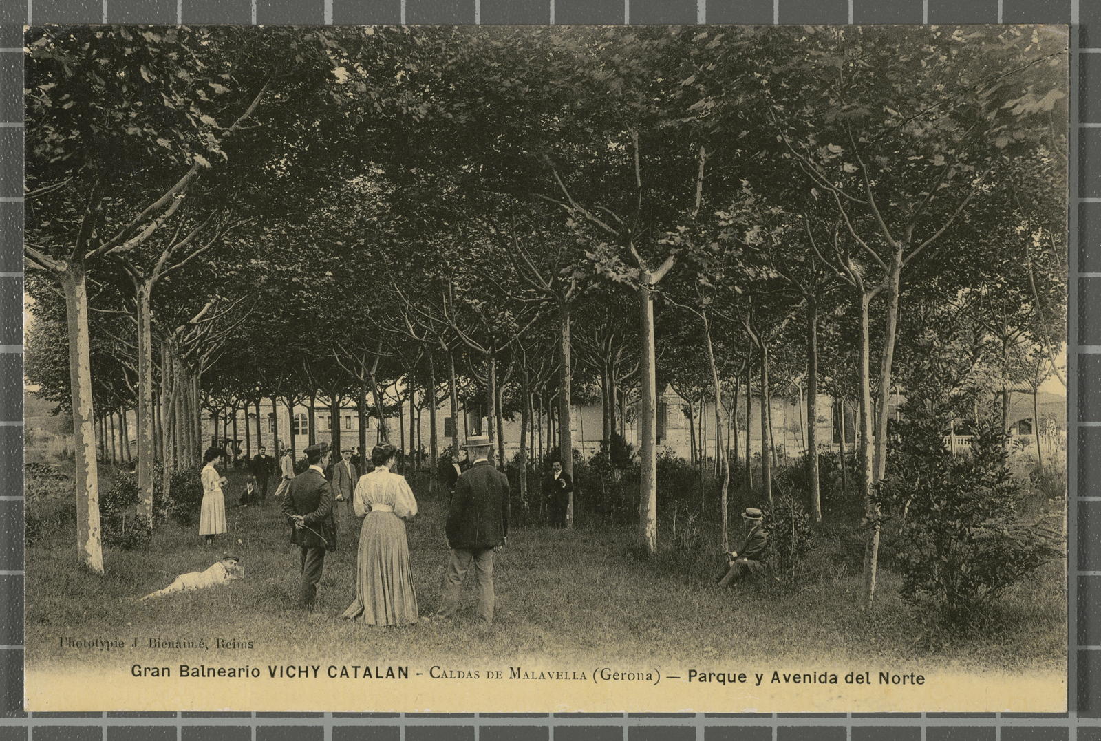 Desconegut, Gran Balneario Vichy - Caldas de Malavella (Gerona) - Parque y Avenida del Norte