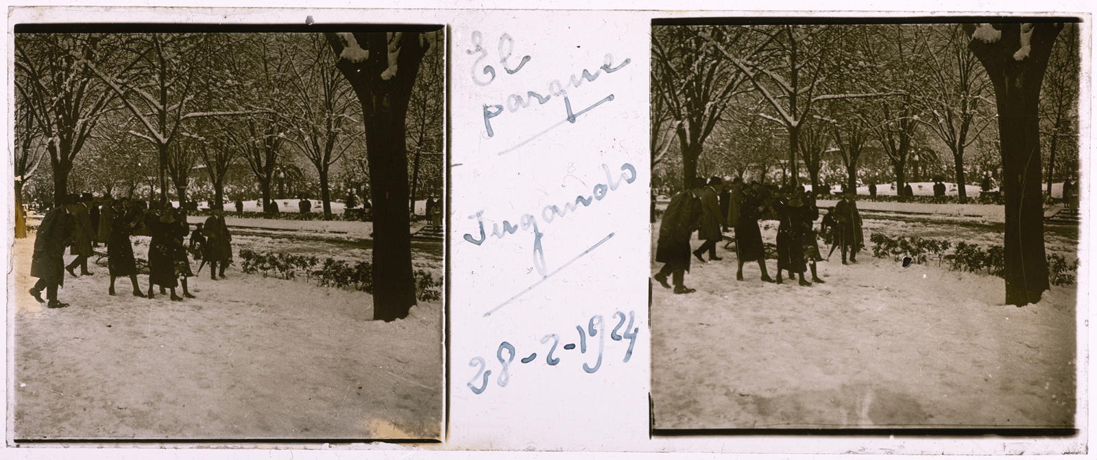 Desconegut, The playful parque