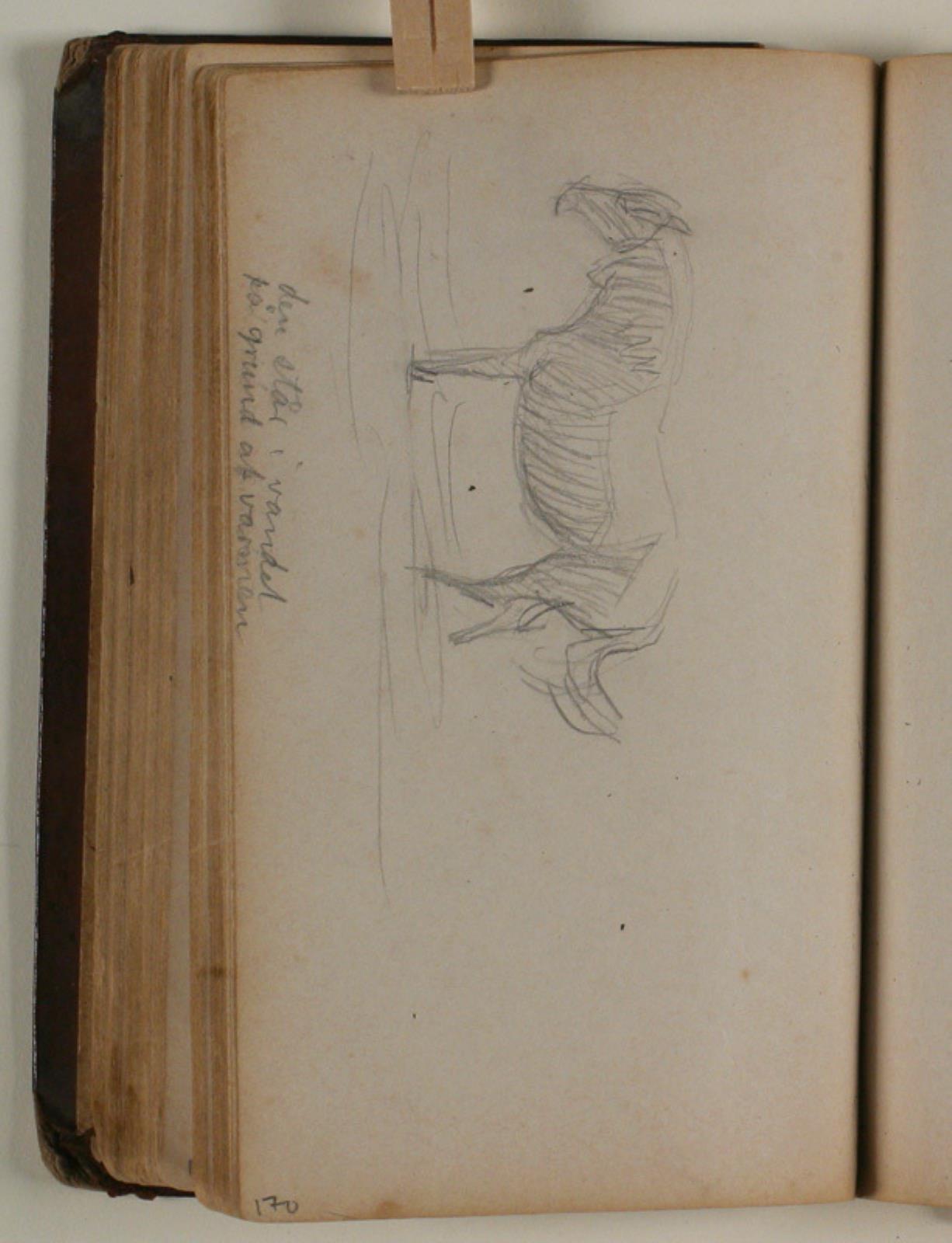 Niels Larsen Stevns, Studie af hest
