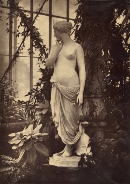 Unknown, [Sculpture of Venus surrounded by plants]