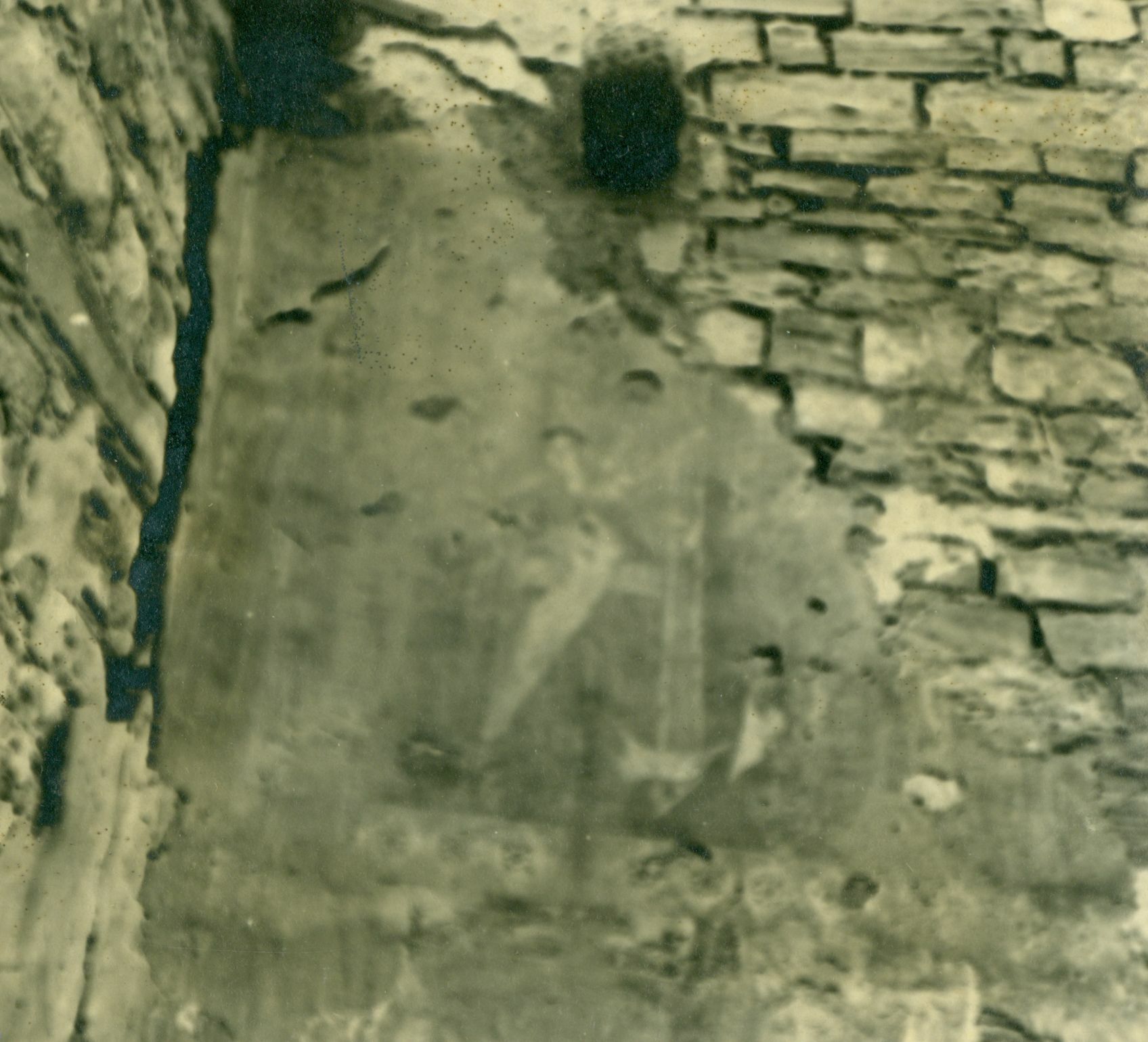 Branko Fučić, Butoniga (Pazin), kapela sv. Križa, ostaci fresaka