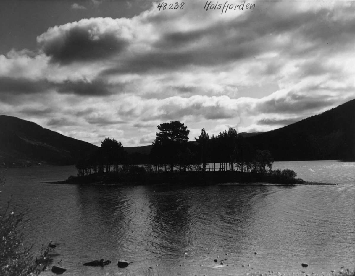 Anders Beer Wilse, Holsfjorden