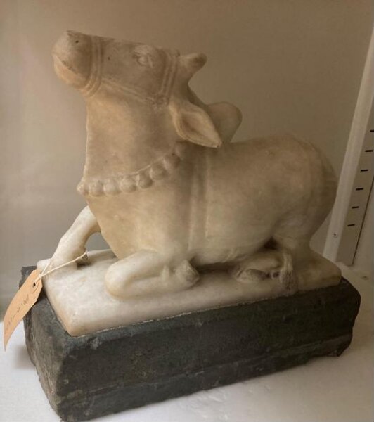 Unknown, Nandi