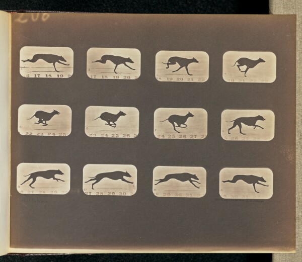 Eadweard J. Muybridge, Running