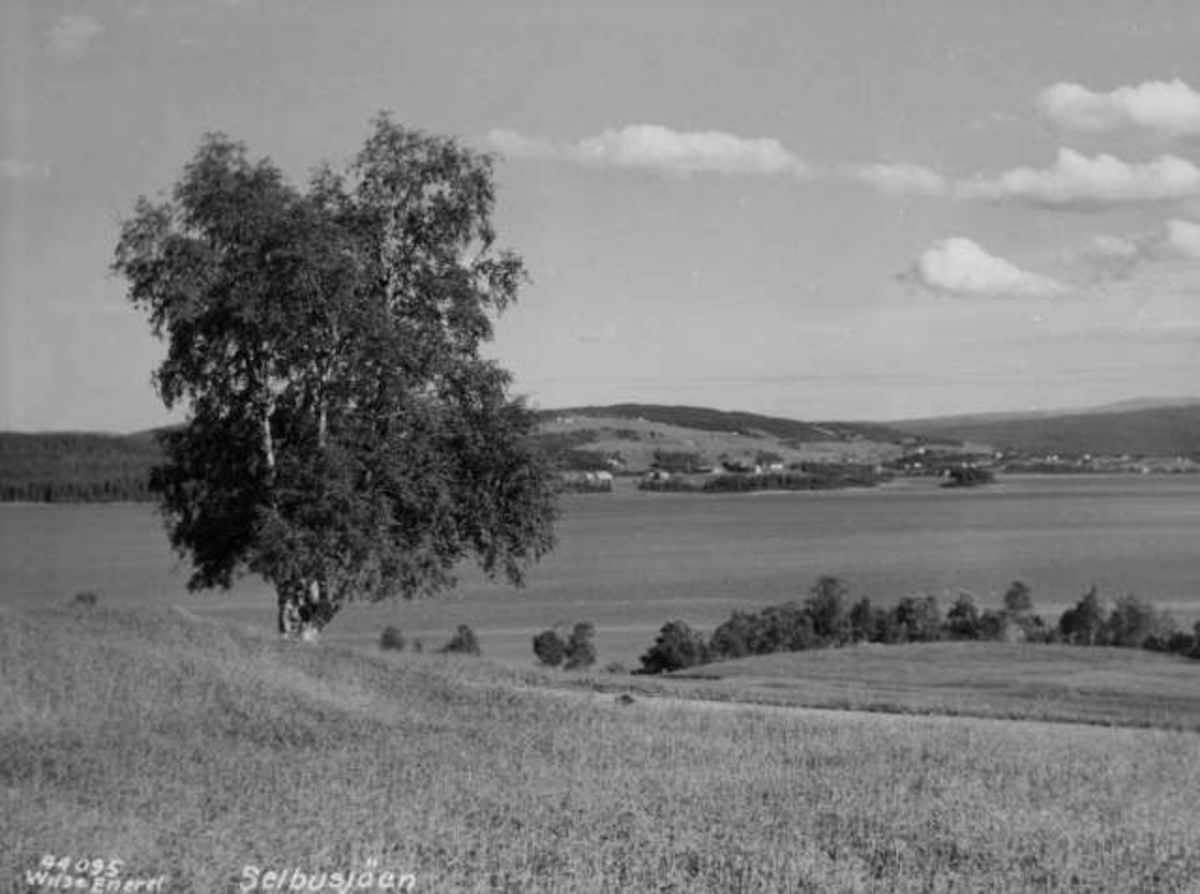Anders Beer Wilse, -6277
