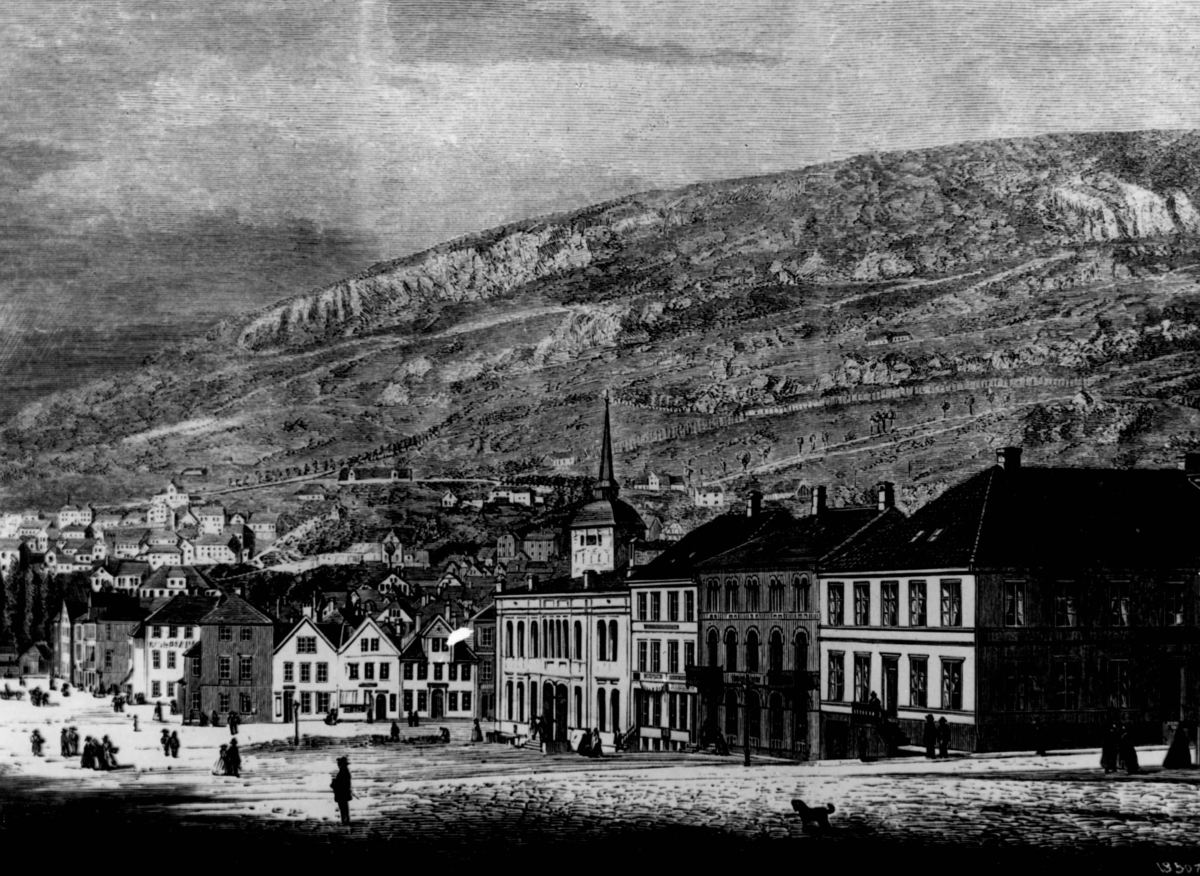 Anders Beer Wilse, Bergen diverse.