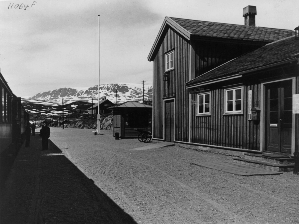 Anders Beer Wilse, Ustadoset, Hallingskarvet