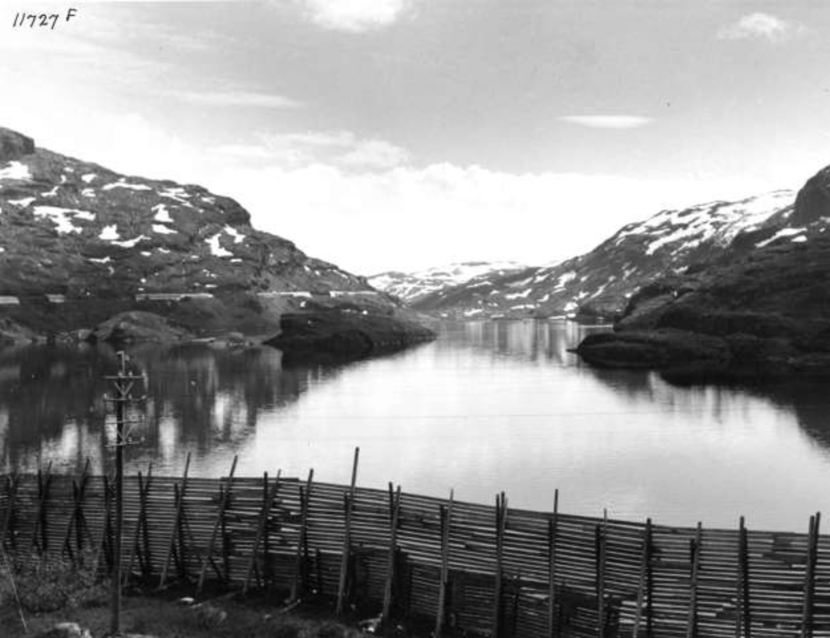 Anders Beer Wilse, -6033