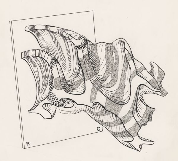J Tinkelenberg, Cerebellum of a mouse