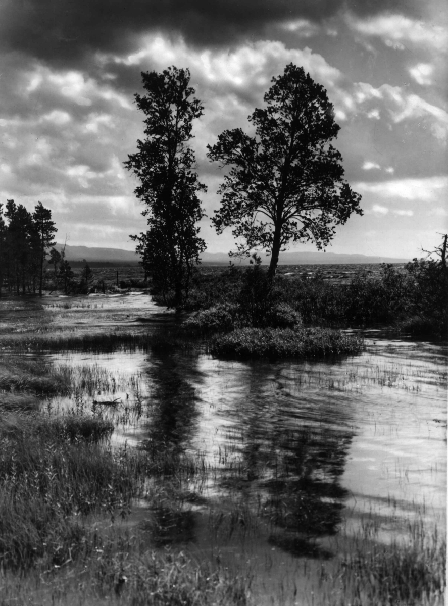Anders Beer Wilse, Ossjoen, Landskap