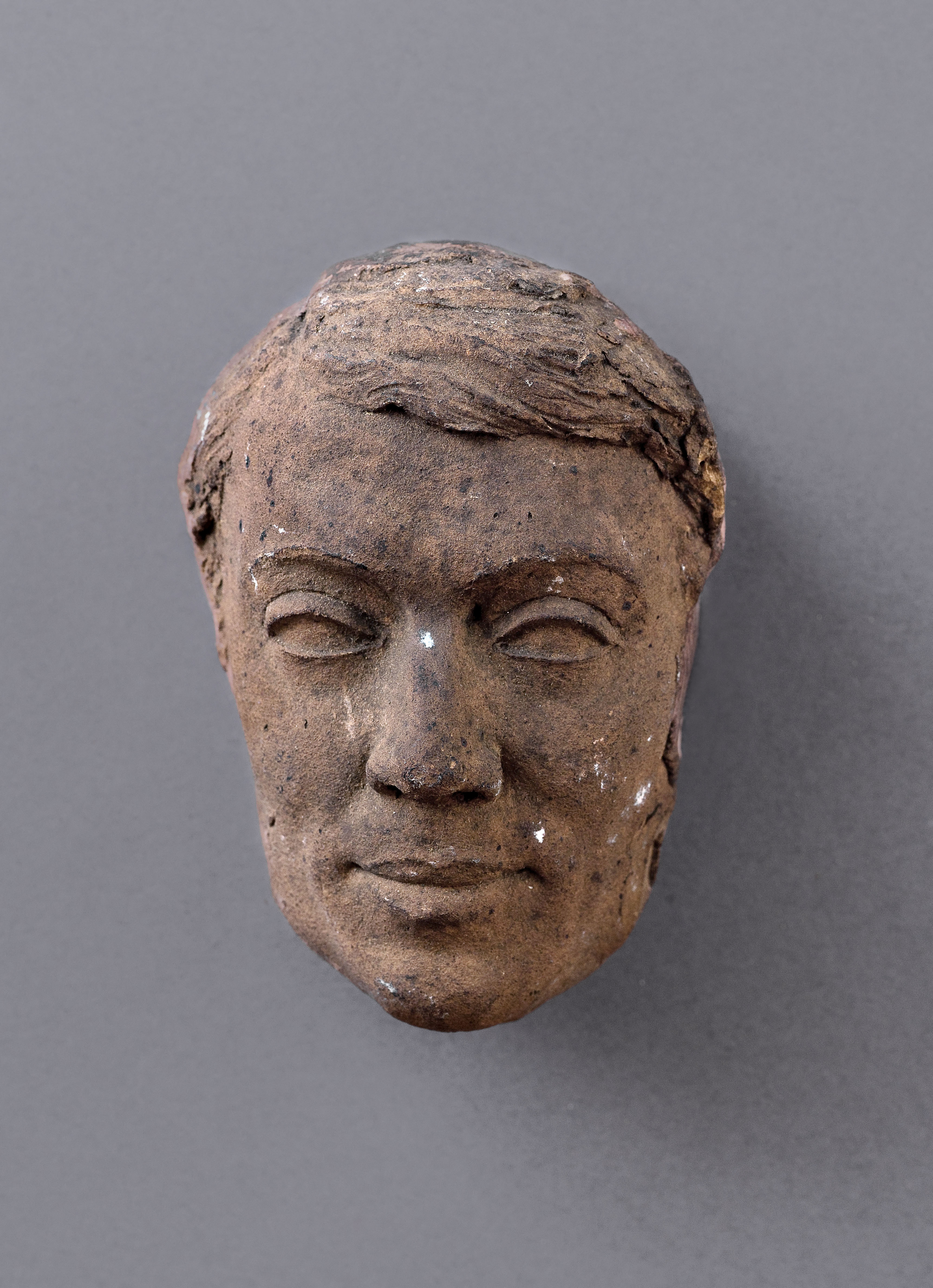 Jean Pierre Dantan, Portrait du chirurgien et syphilologue, Philippe Ricord (1800-1889)