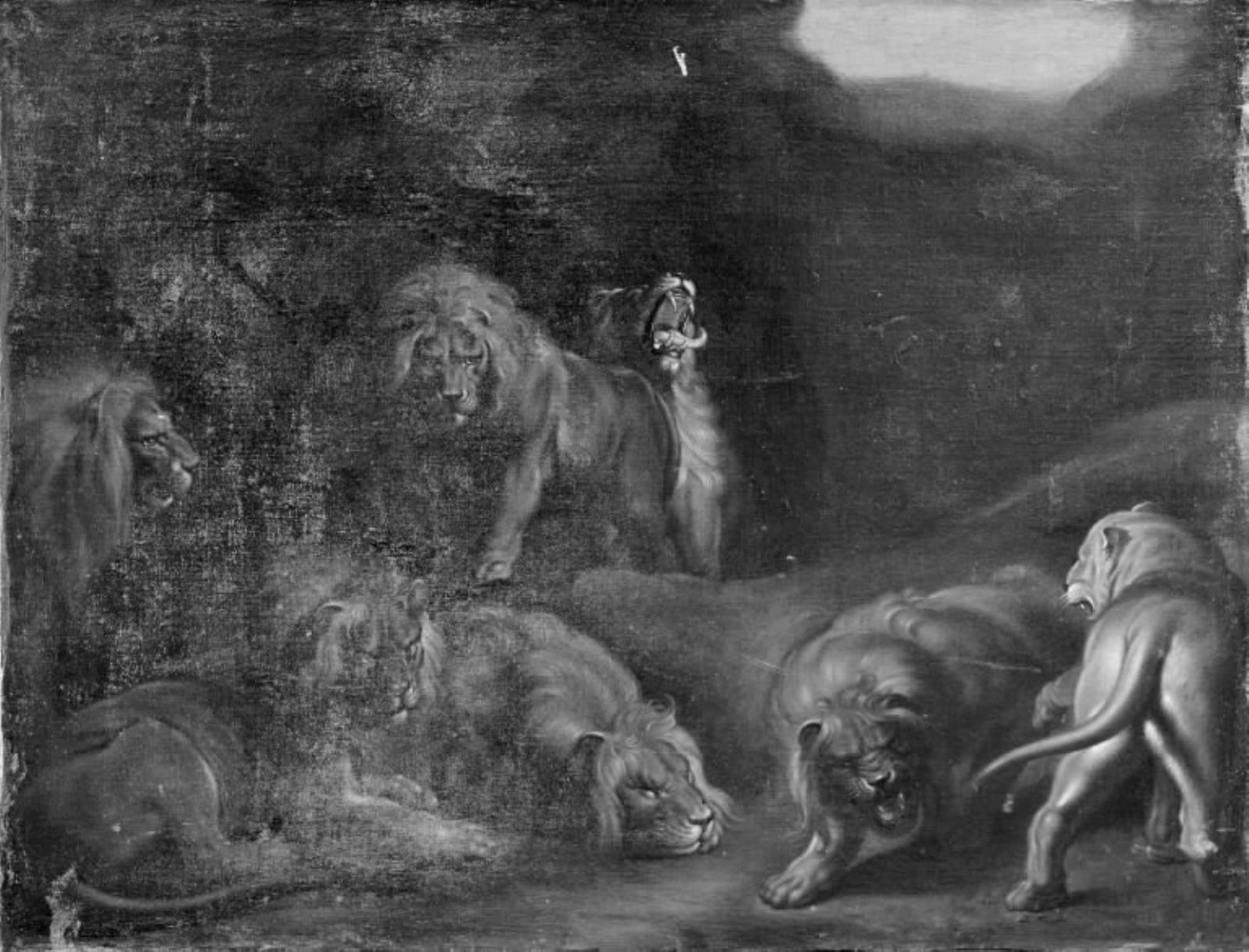 Peter Paul Rubens, Løvekule
