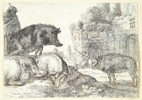 Herman van Swanevelt, Svin