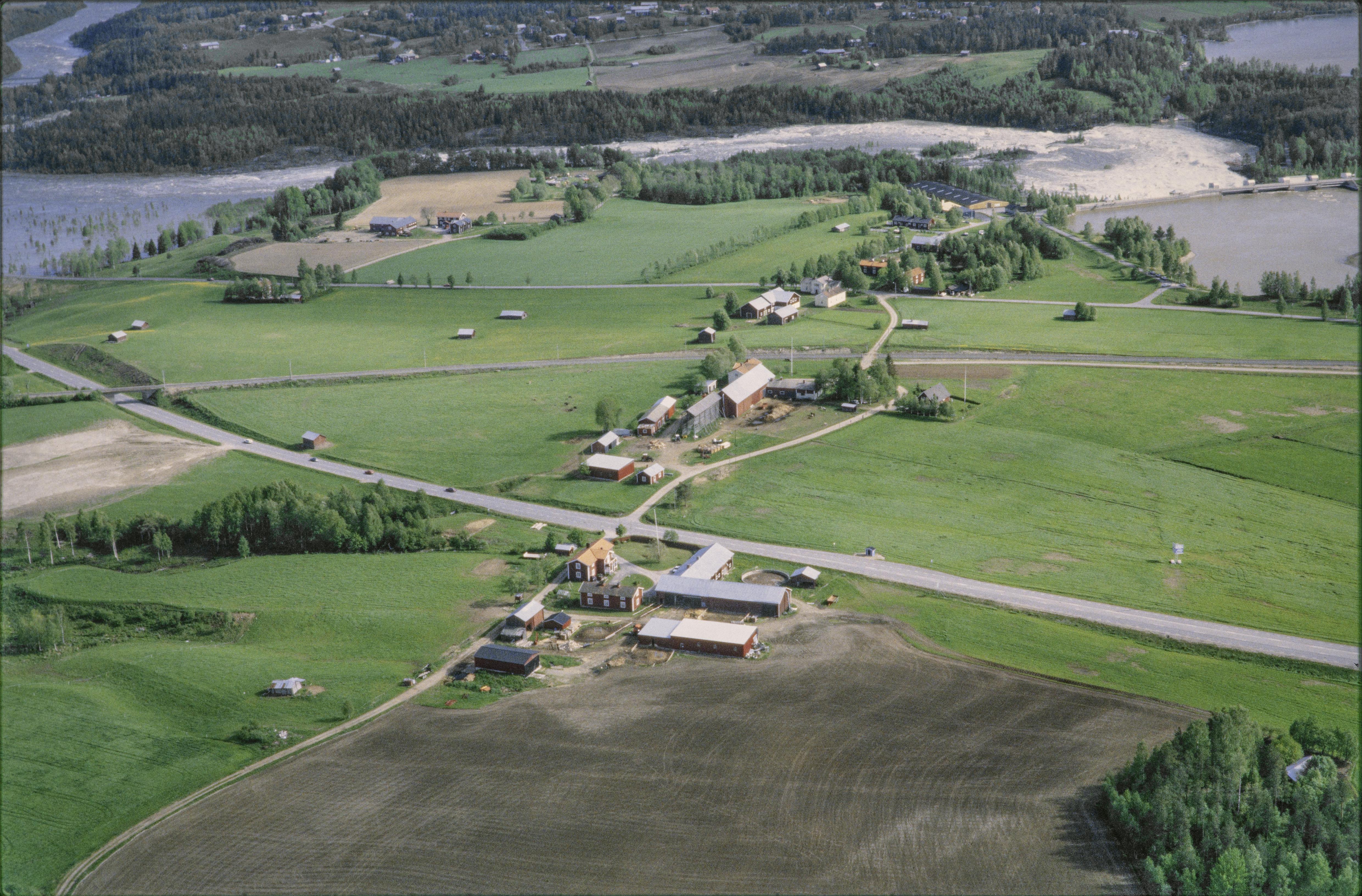 Jan Norrman, Umeå stad 226:1