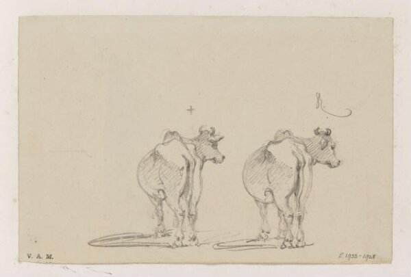 George Chinnery, Two studies of a cow seen from behind