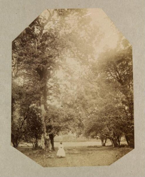 Clementina, Lady Hawarden, Photograph