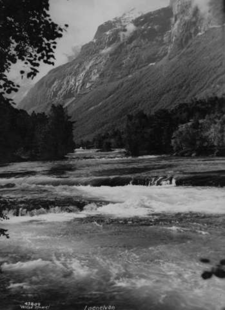 Anders Beer Wilse, -7119