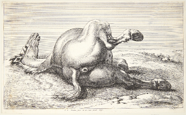 Jan van Huchtenburg, Falden hest, set bagfra
